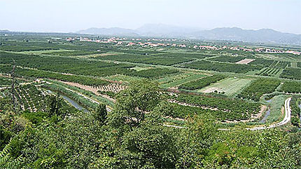 Irrigation dans la vallée de la NERETVA