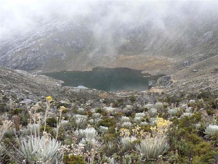 Laguna Negra dans les Andes Laguna Negra dans les Andes