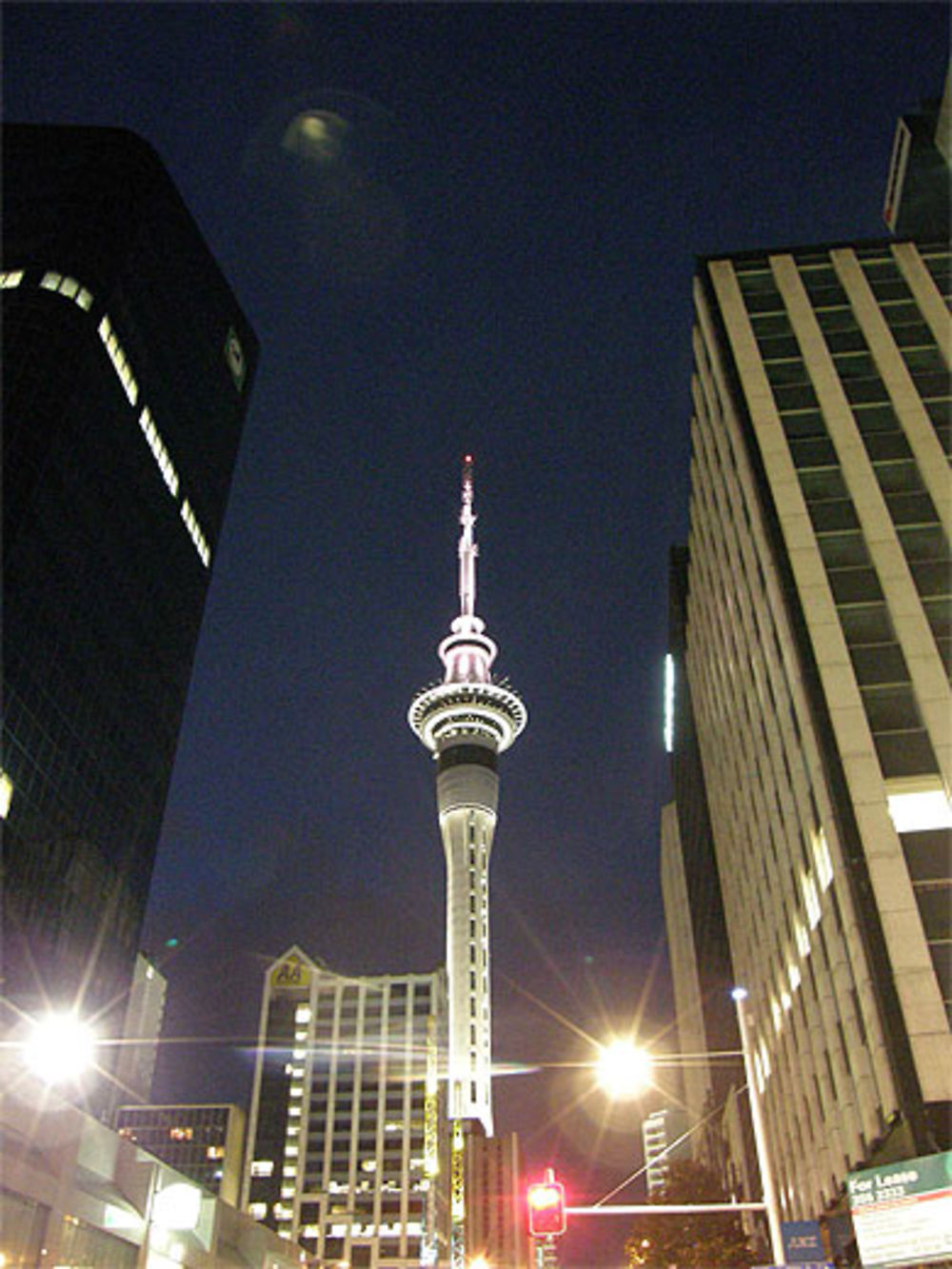 Sky Tower by Night