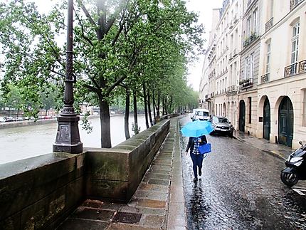 Paris sous la pluie, quai d'Anjou
