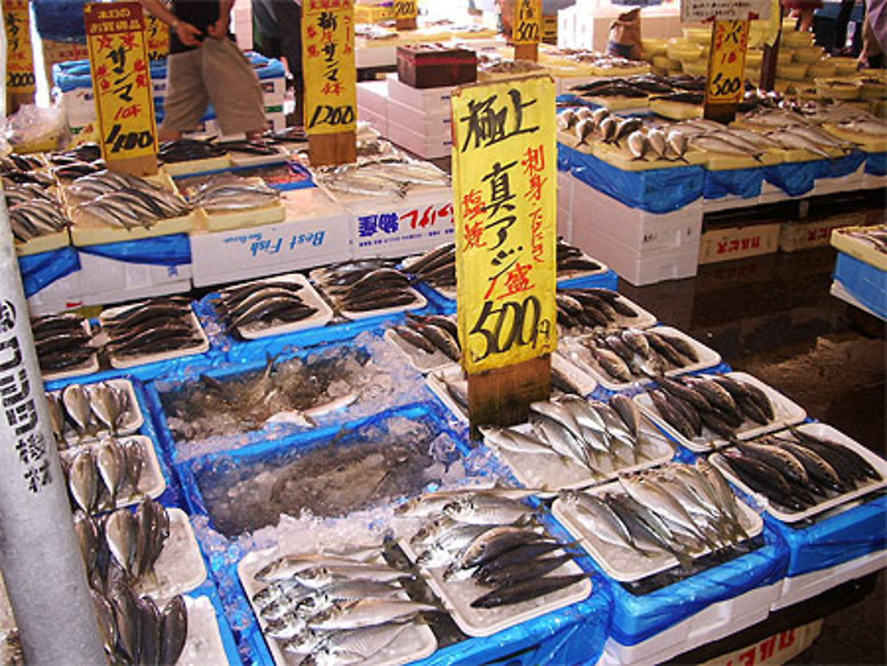 Marché aux poissons d'Oarai