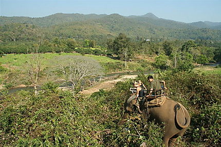 Chiang Mai balade éléphants