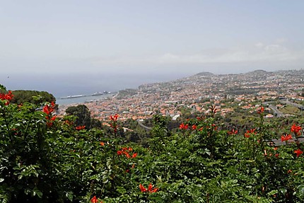 Depuis le jardin botanique de Funchal