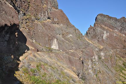 Sentier - Pico Ruivo ( Massif central )