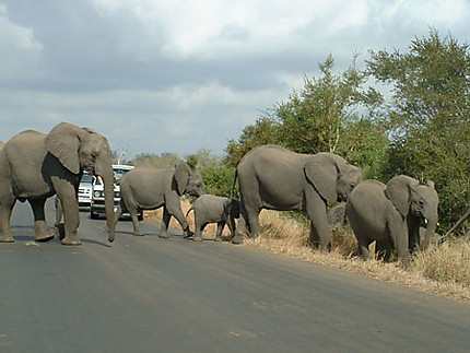 Traffic jam in South Africa