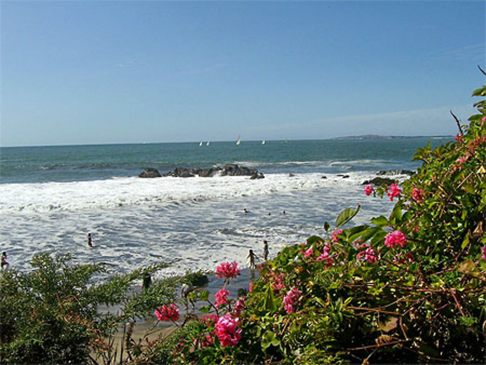 Playa negra