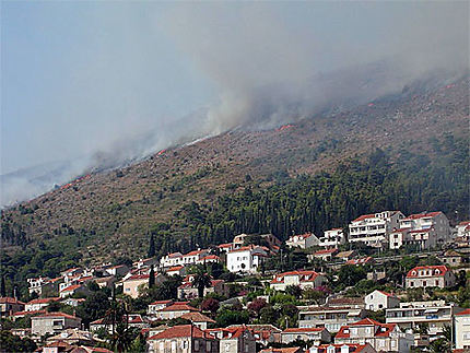 Incendies à Dubrovnik le 4 août 2007