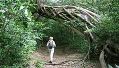 Costa Rica - Explorateurs en herbe - 20 j