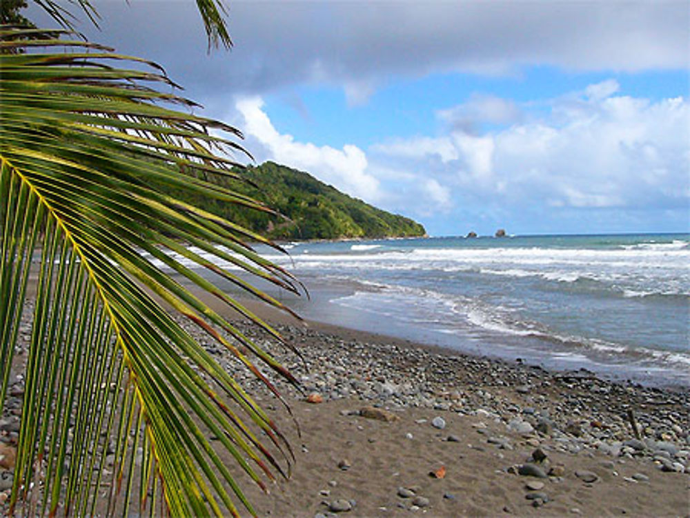 Pagua bay