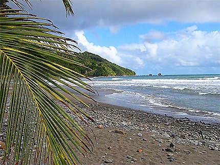 Pagua bay