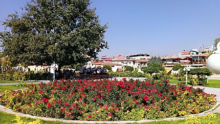 Jardin des roses 