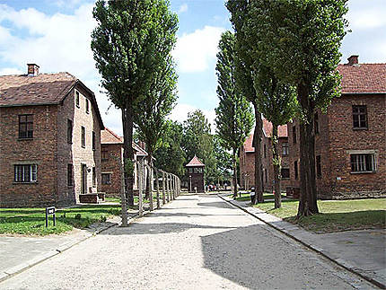 Allée du camp d'Auschwitz