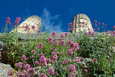 Le temple d' Apollon Le temple d' Apollon