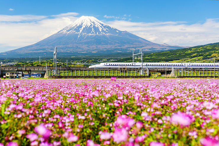 Japon - Le Shinkansen étend son système d'achat de billets à l'avance