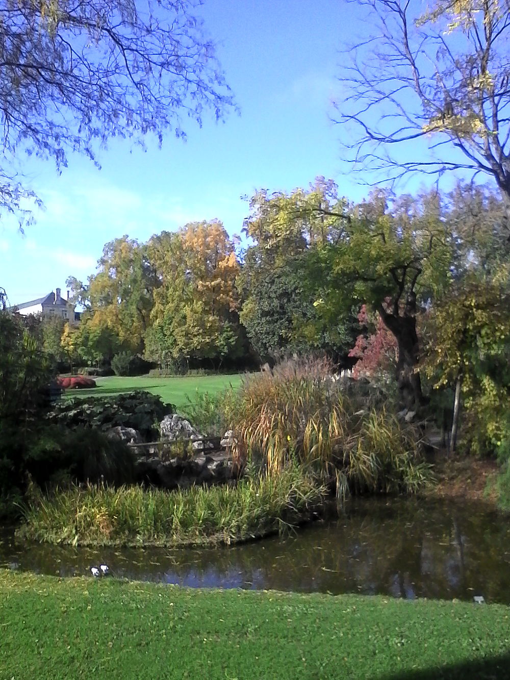 Jardin des plantes