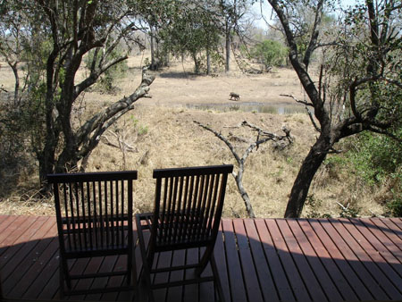 Vue imprenable sur Thornybush reserve Vue imprenable sur Thornybush reserve