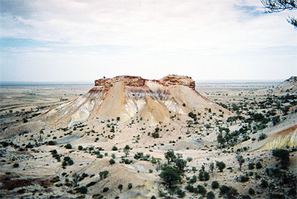 painted desert