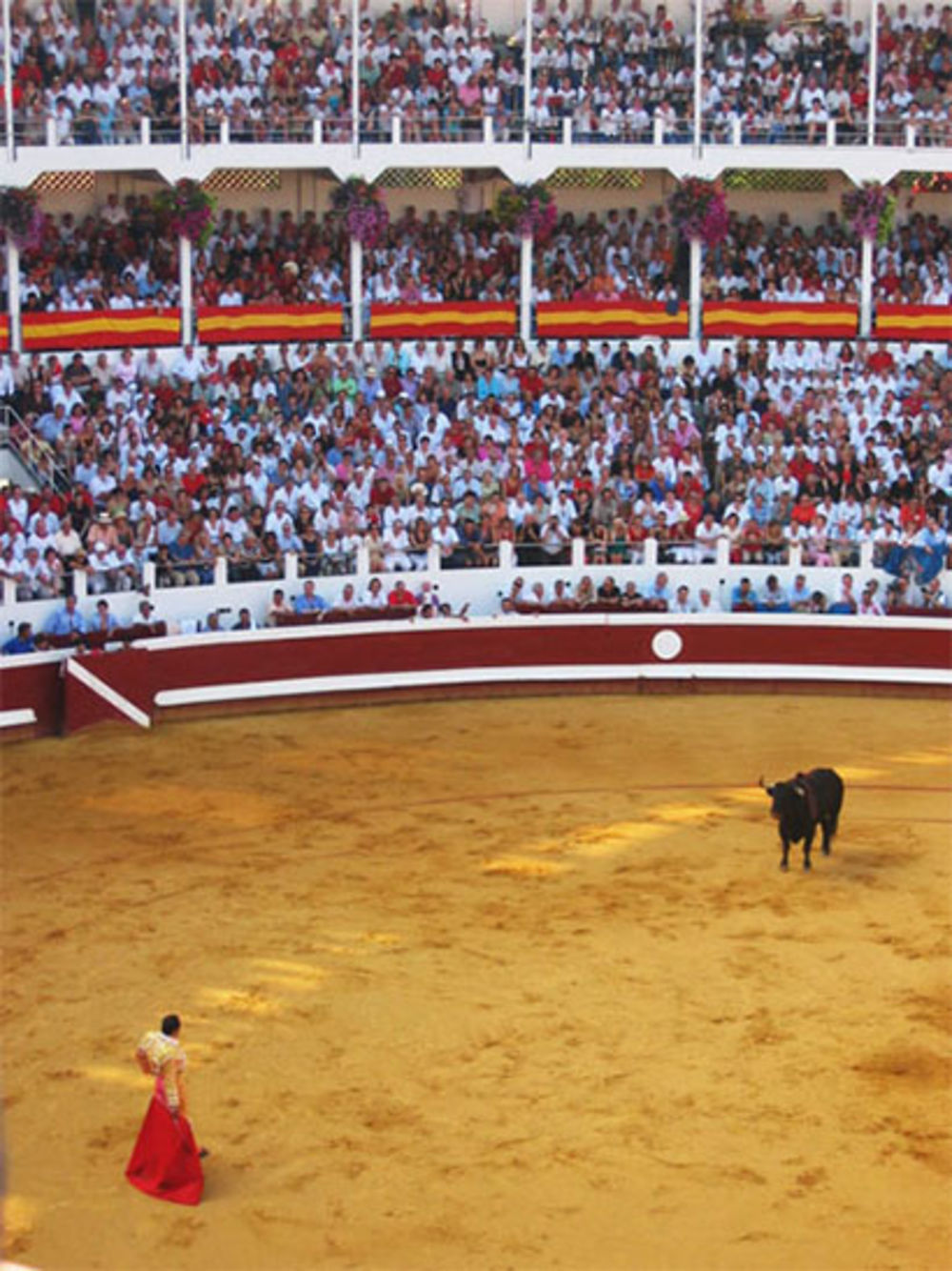 Le face à face dans les arènes