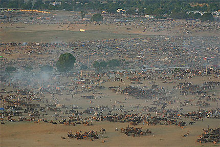 Lors de la foire aux chameaux de Pushkar