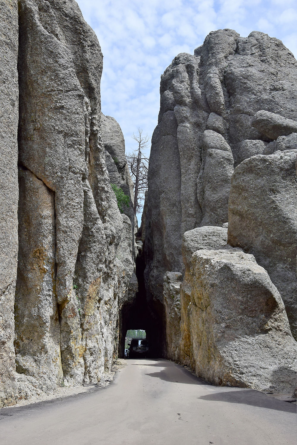 Needles Highway Scenic Drive