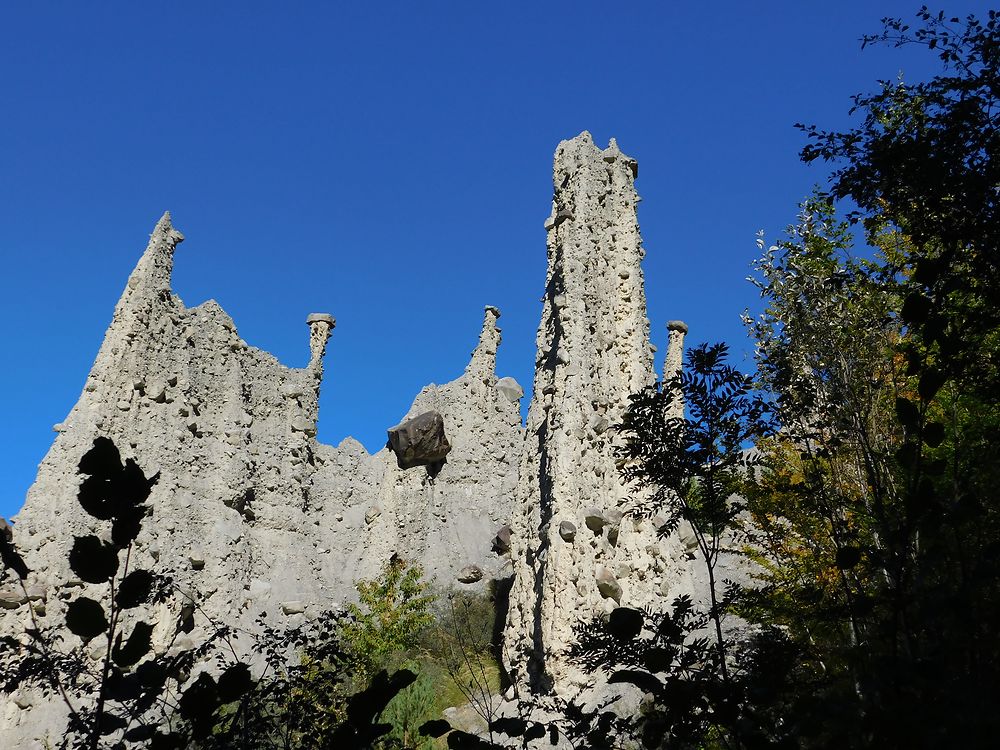 Demoiselles coiffées dans les Alpes