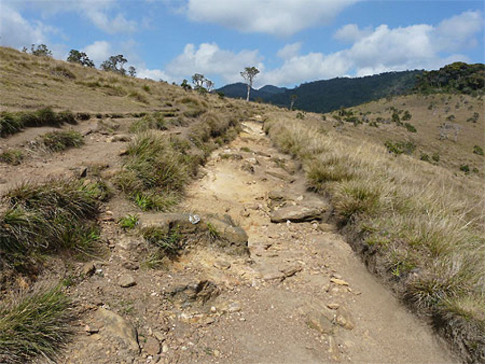 Promenade dans Horton Plains