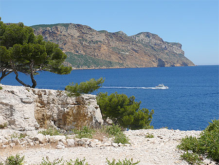 Beauté de Cassis Beauté de Cassis