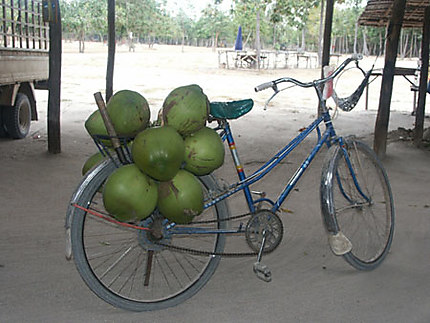 Vélo-coco