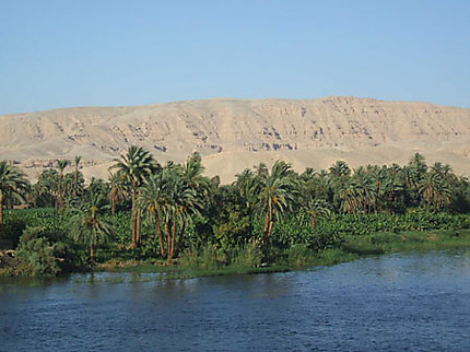 Rive du Nil 