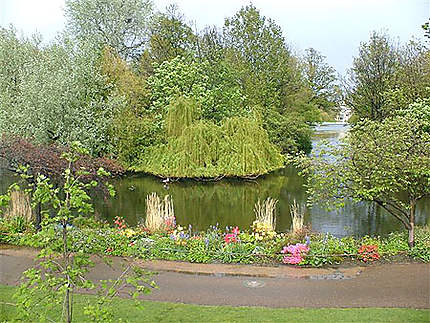 St james park