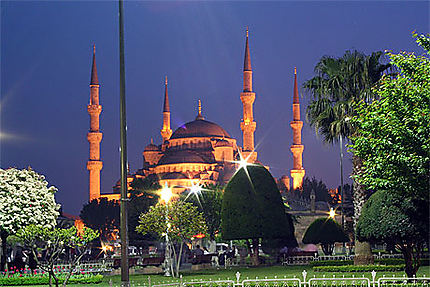 La Mosquée Bleue de nuit