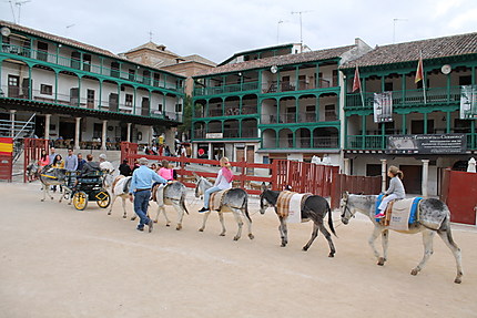 Un convoi de mules 