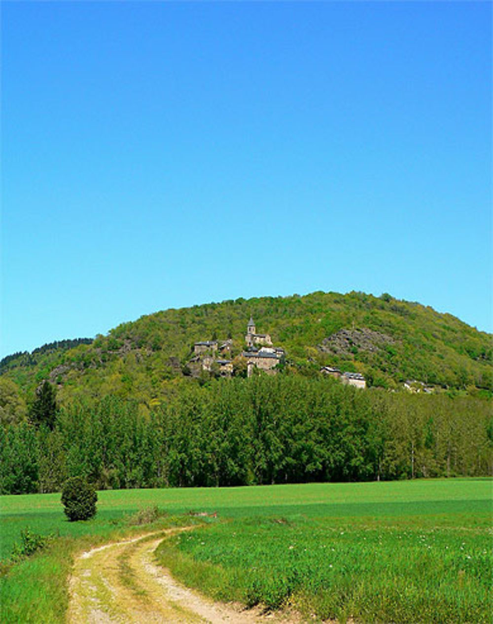 Printemps sur le Tarn