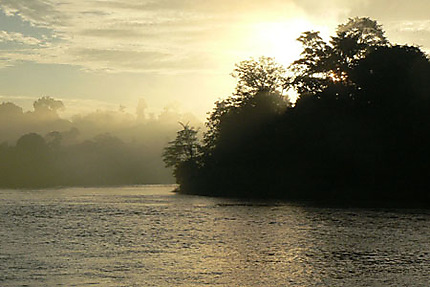 Lever de soleil sur la jungle près de la rivière Sukau