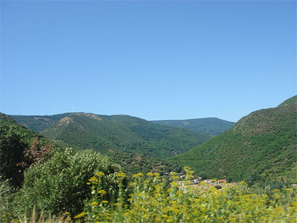 Petit zoom sur le pic de nore