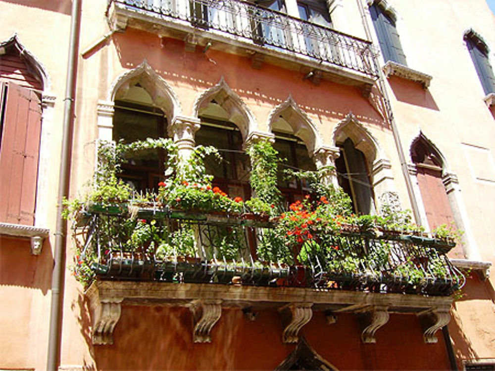 Balcon jardin d'un palais rose