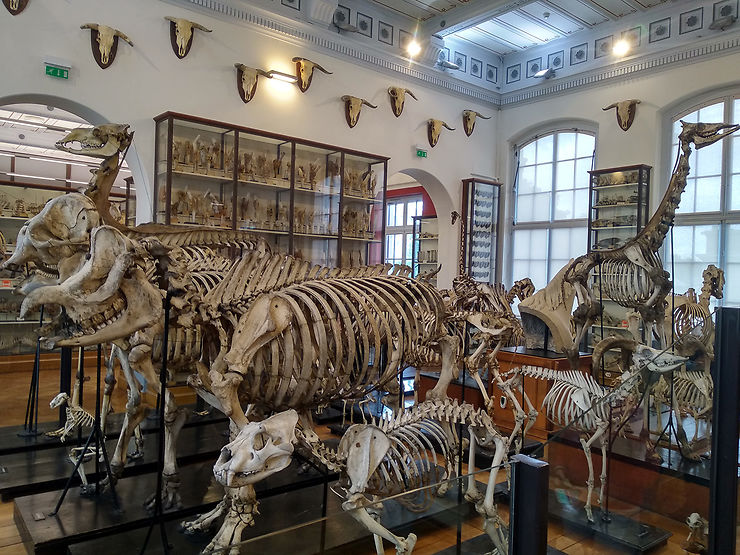 Des musées en tout genre