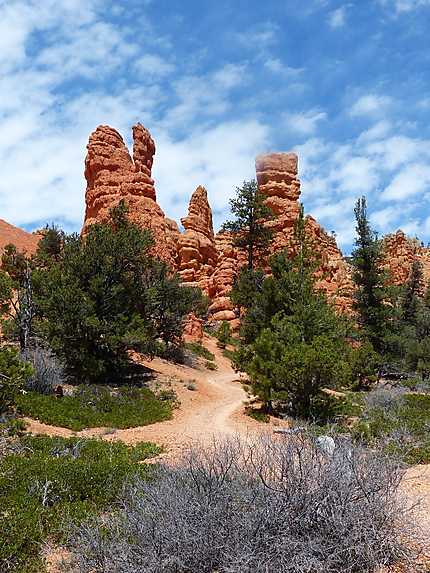 Le red canyon (qui porte bien son nom)