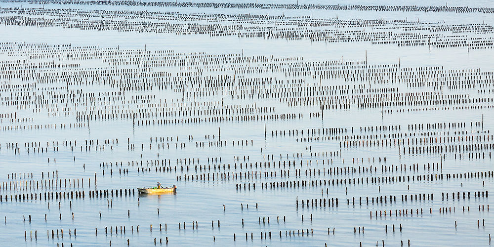 Bouchots dans le Pertuis Breton