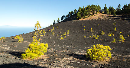 Chemin de volcans sur la Palma
