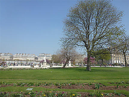 Le jardin des Tuileries (Paris)