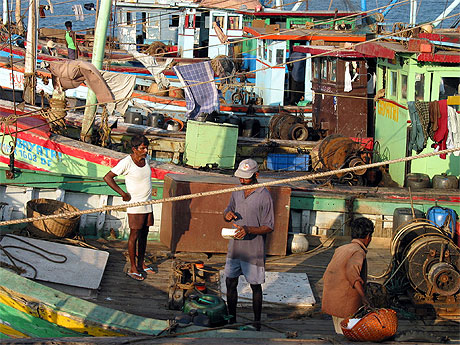 Après une journée de pêche Après une journée de pêche