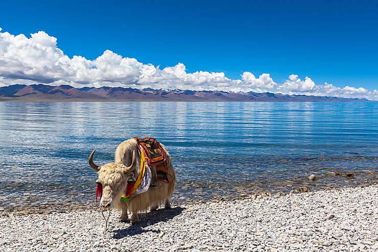 Lac Namtso (Tibet)