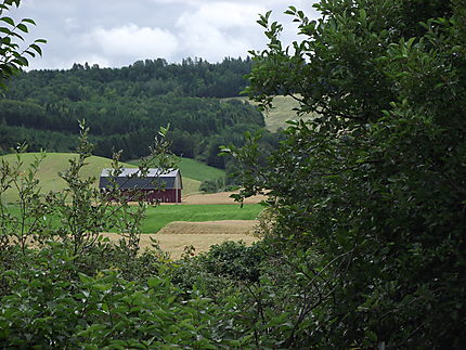 Paysage à St-Octave-de-Métis