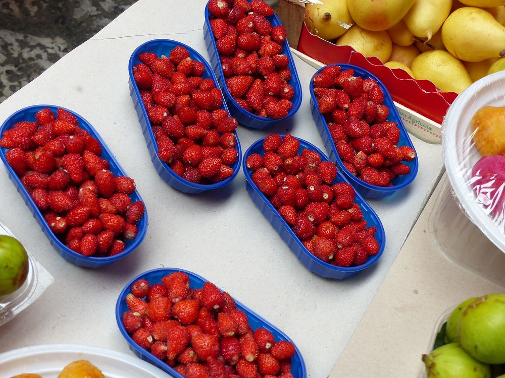 Fraises des bois 