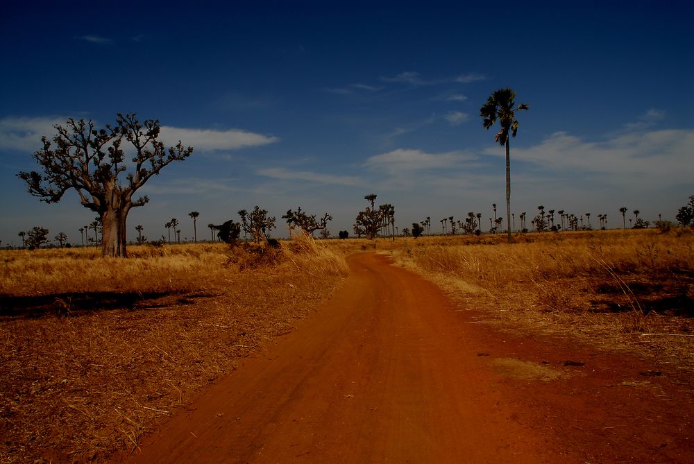 En brousse, La Pointe-Sarène au Sénégal