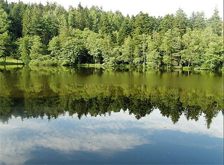 Etang du Girmont Etang du Girmont