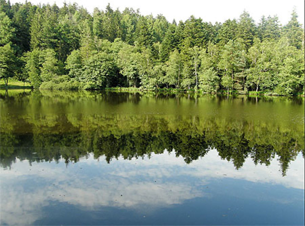 Etang du Girmont