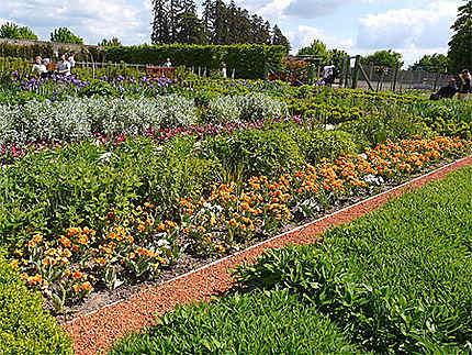 Jardin de Cheverny