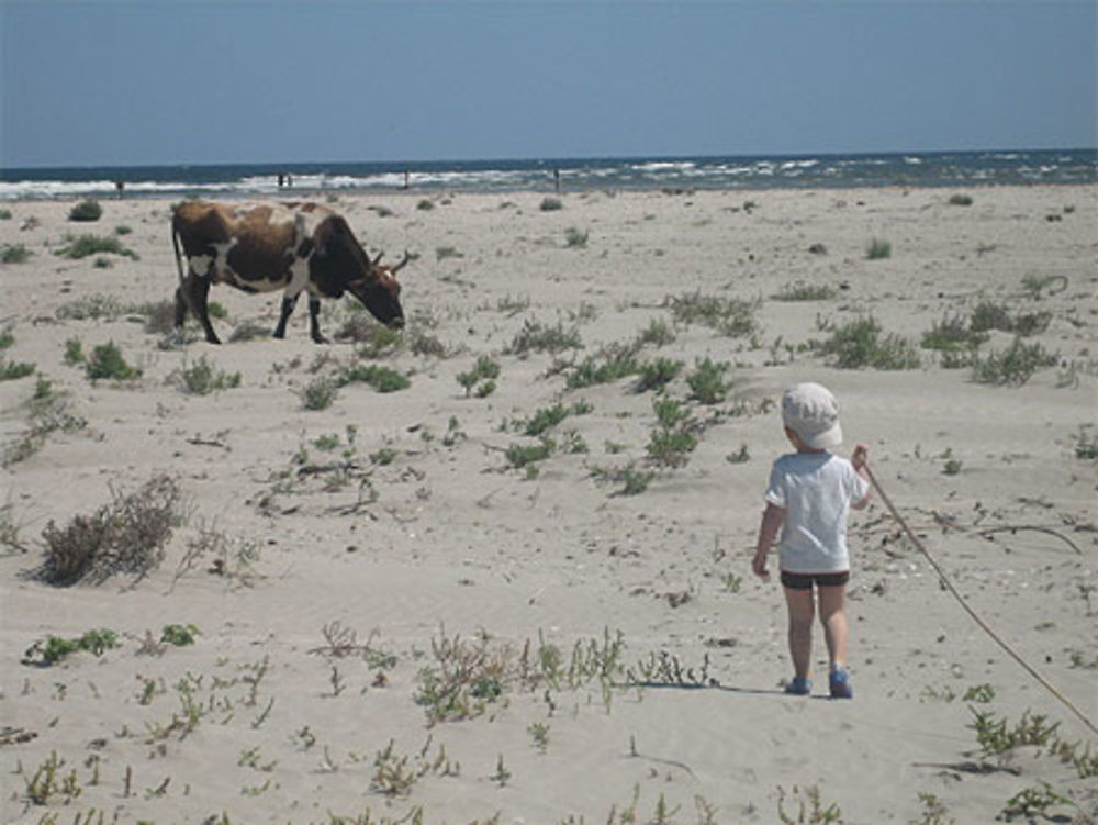 Plage de Sfuntu Gheorge